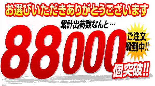 レイザーポインター激安