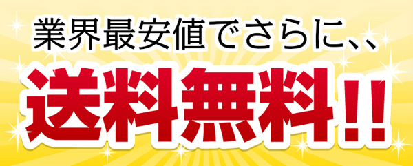 世界最強レーザーポインター　