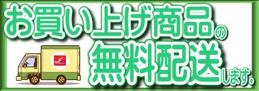 高出力200mwグリーンレーザーポインター指示棒
