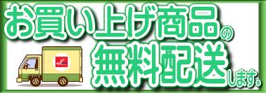 出力100mw緑光　レーザーポインター